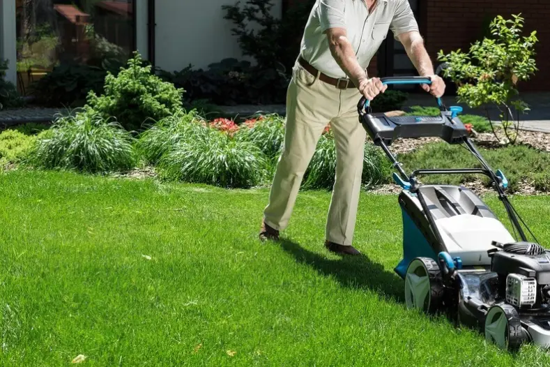 Can You Mow Wet Grass in Goodyear, AZ