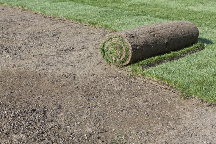 How Long After Installing Sod Can You Walk On It in Goodyear, AZ