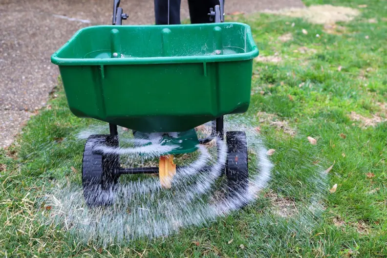 How Often Should You Fertilize Your Lawn in Goodyear, AZ