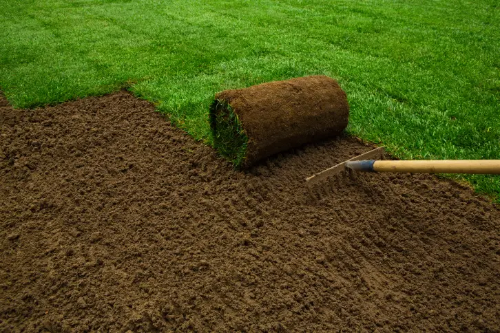 How to Lay Sod Over Existing Lawn Goodyear, AZ