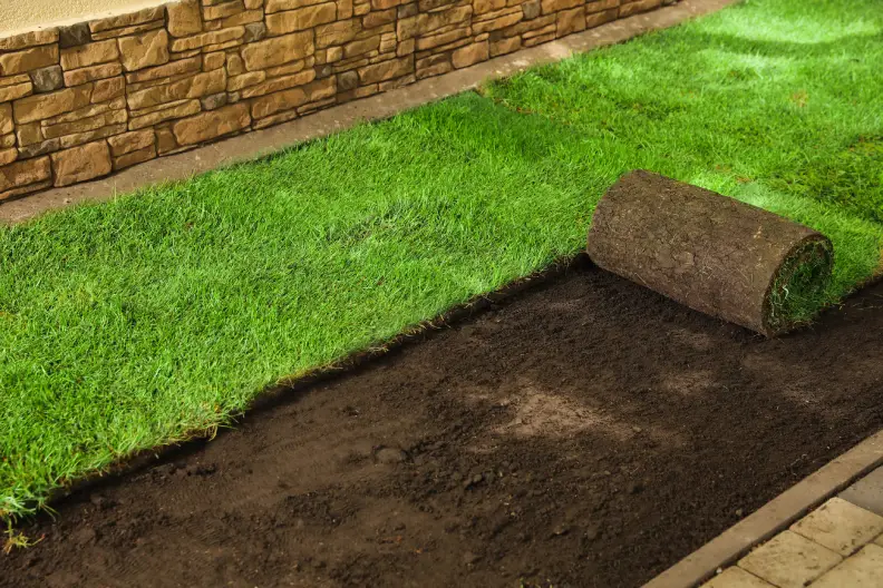 How to Lay Sod Over Existing Lawn in Goodyear, AZ