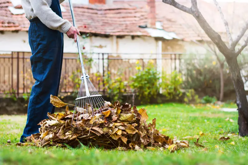 How To Clean A Backyard Goodyear, AZ