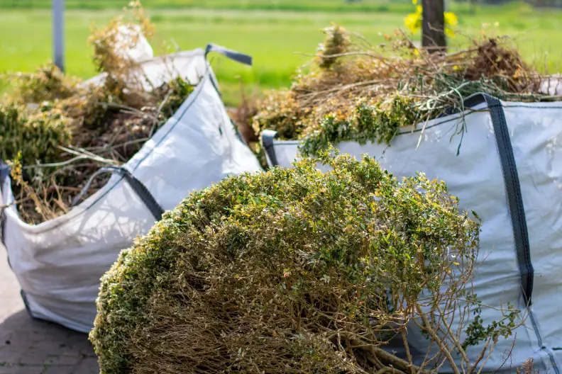 How To Clear A Yard Full Of Weeds in Goodyear, AZ