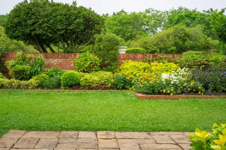 Landscaping Company in Goodyear, AZ