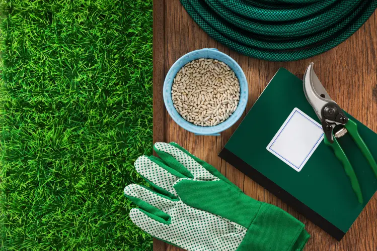 Lawn Fertilization in Goodyear, AZ - Landscaper