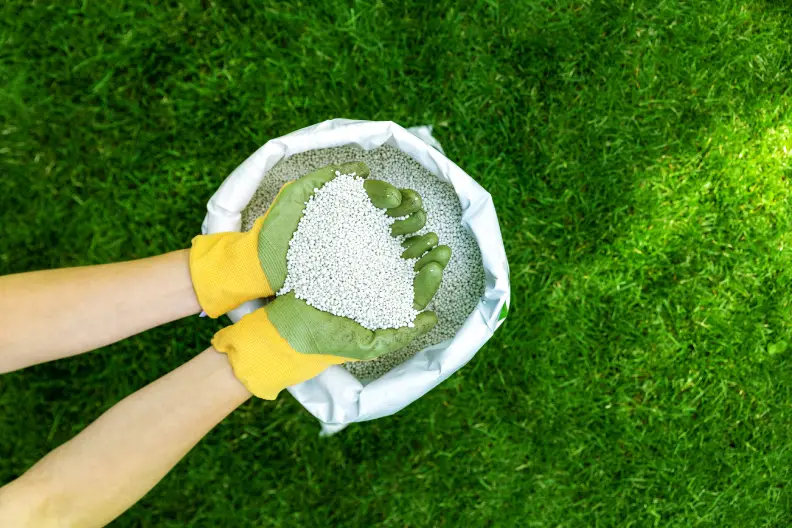 Lawn Fertilization in Goodyear, AZ