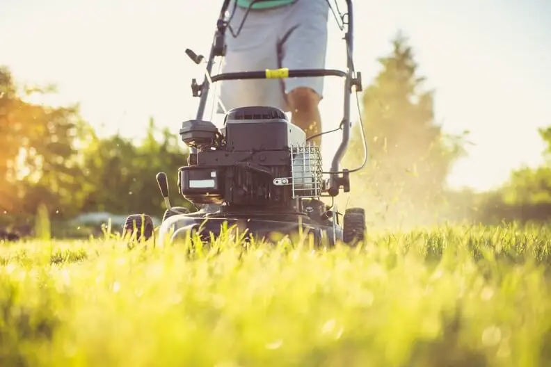 Lawn Mowing Goodyear, AZ