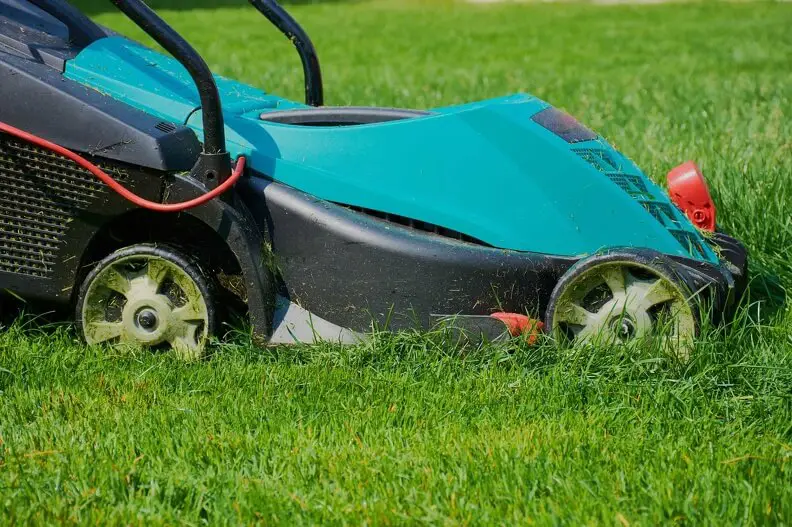 Lawn Mowing in Goodyear, AZ