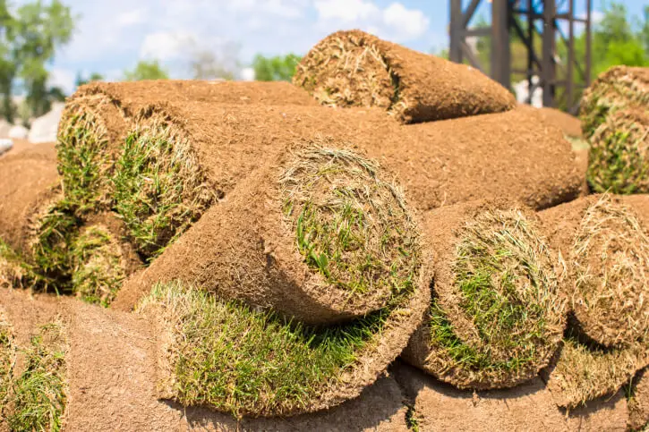 Sod Installation in Goodyear, AZ - Landscaper