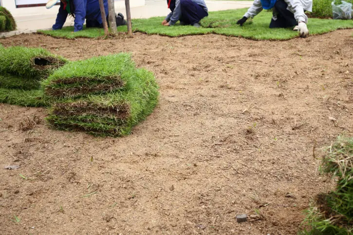 Sod Installation in Goodyear, AZ