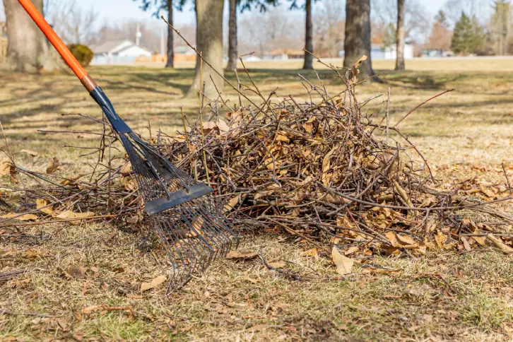 Yard Cleanup in Goodyear, AZ - Landscaper